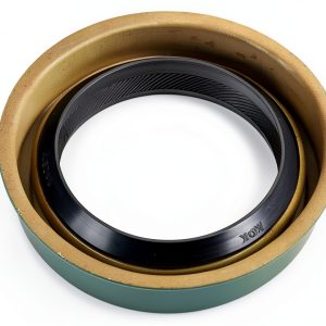 National Spring Loaded Seals for Automotive-0